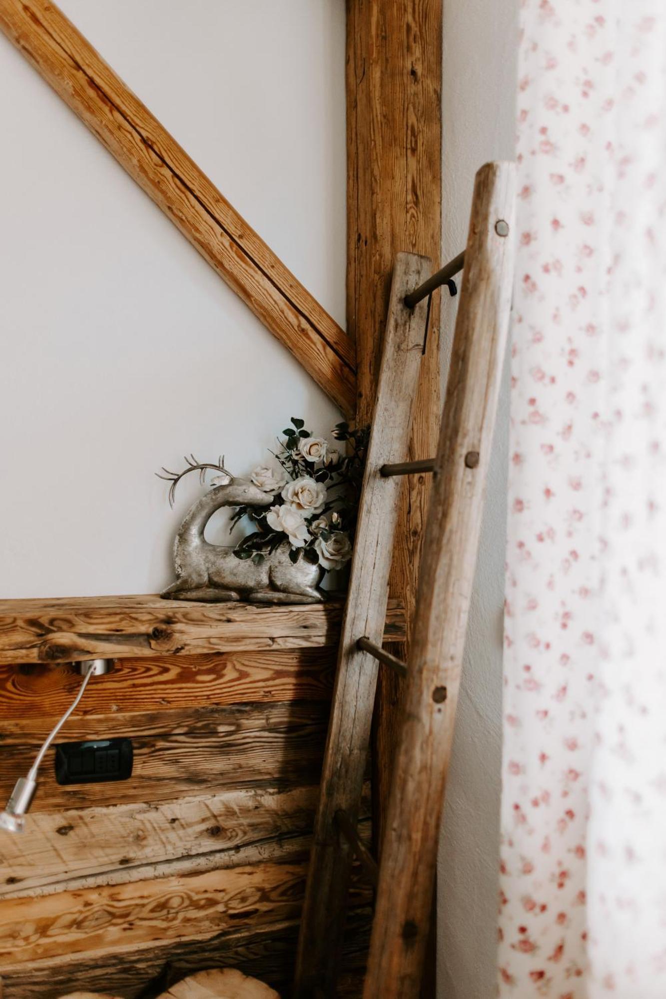 Bed and Breakfast Fra Rose E Mughi Домедже-ди-Кадоре Экстерьер фото