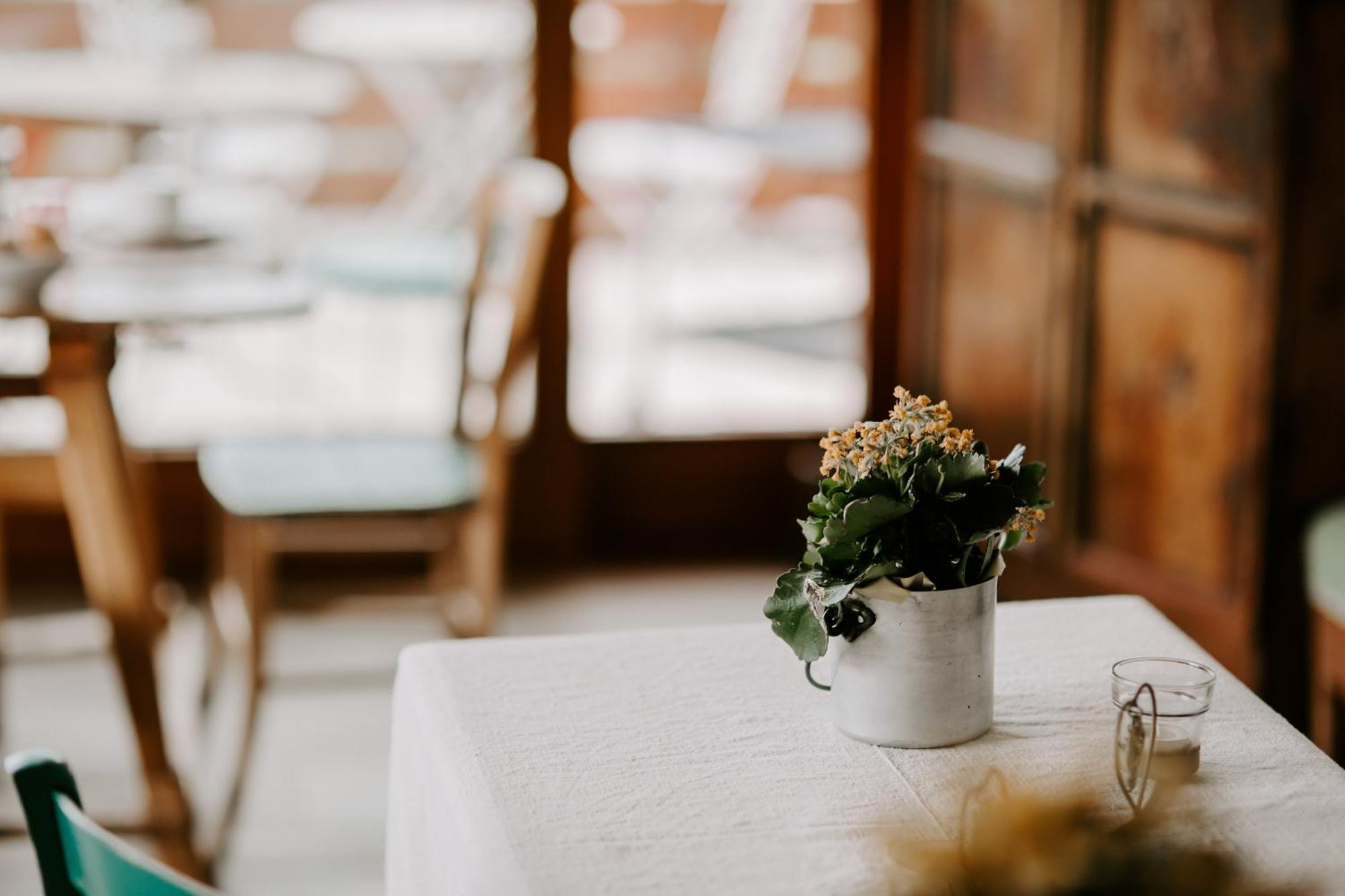 Bed and Breakfast Fra Rose E Mughi Домедже-ди-Кадоре Экстерьер фото